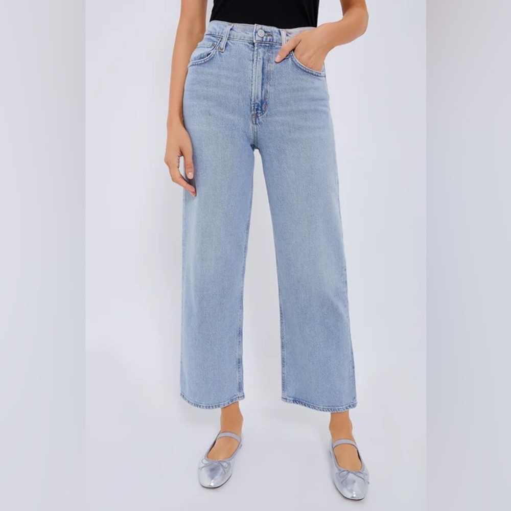 Agolde REN high rise wide leg (wash: Groove) | size 29